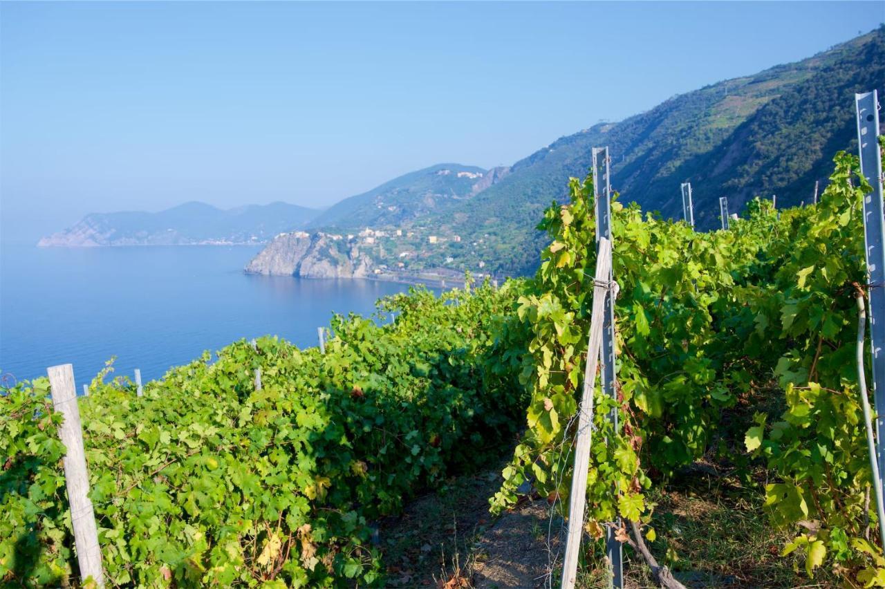 La Tua Casa Vicino A Portovenere Βίλα Le Grazie  Εξωτερικό φωτογραφία